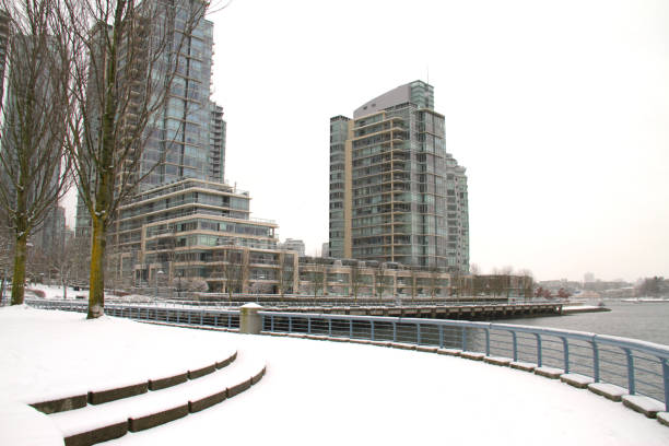 istock Seawall in the Snow 931591198