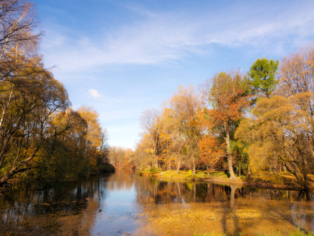 istock river in an autumn park 931591518