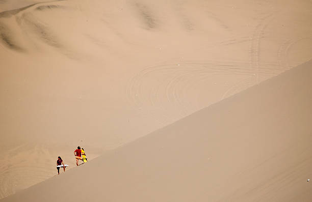 Young female sandboarding in The Sahara Desert. She is standing on a sand dune, and holding sandboard. The Sahara Desert is the world's largest hot desert with the biggest sand dunes.
