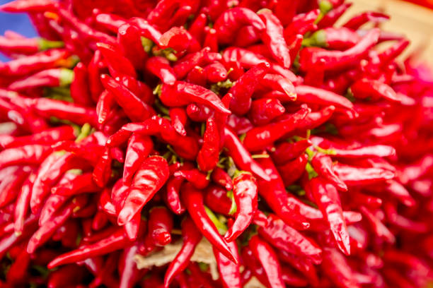 Bunch of decorated dried red hot peppers at outdoor market place.