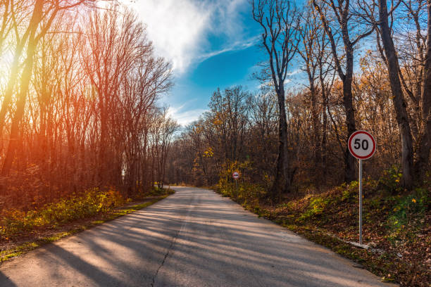 Road in a colorful autumn forest