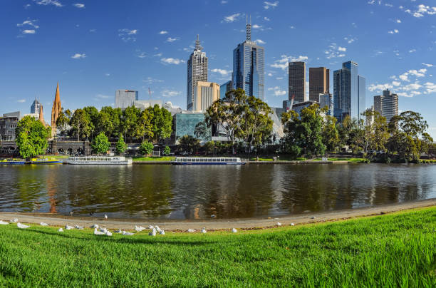 istock Parks and gardens of Melbourne. Australia 931596214