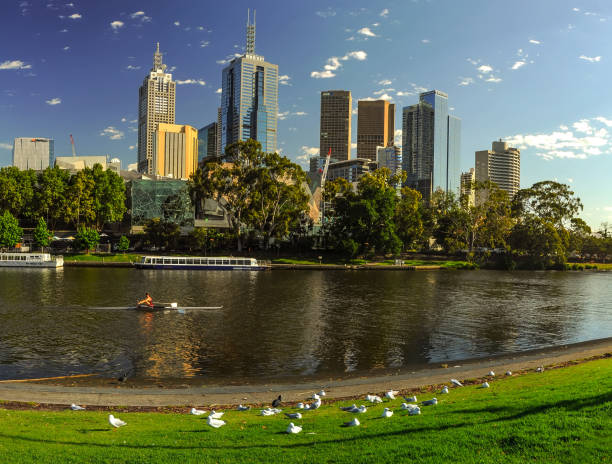 istock Parks and gardens of Melbourne. Australia 931596218