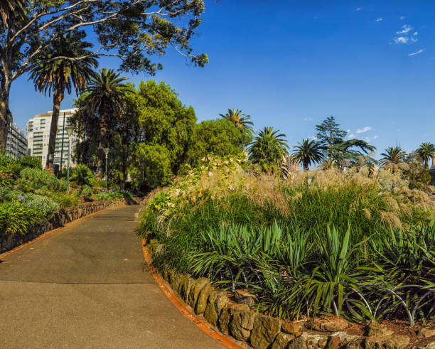 istock Parks and gardens of Melbourne. Australia 931596242