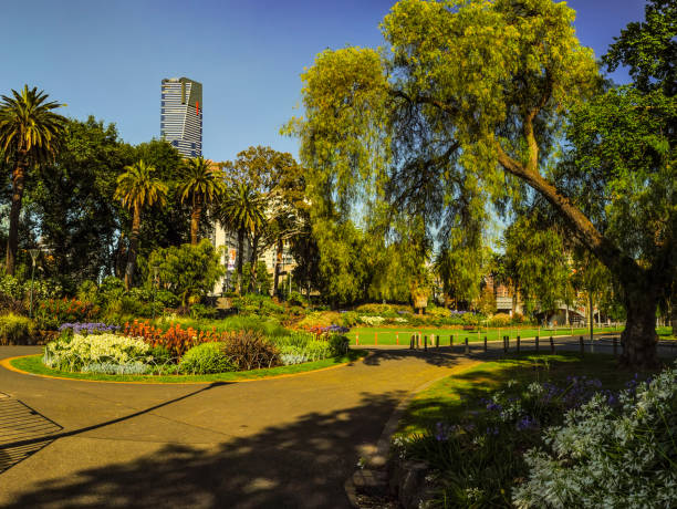istock Parks and gardens of Melbourne. Australia 931596294