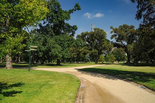 Grooming and beauty of the parks of Melbourne