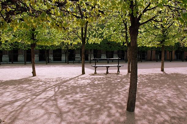 park bench, paris, frankreich. - palais royal stock-fotos und bilder