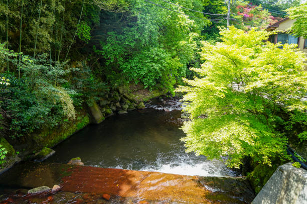 istock View of natural fresh spring stream with stone bank through light glowing green maple trees, forest and local buildings on stone bank in Kurokawa onsen town 931606280