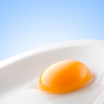 Egg yolk.