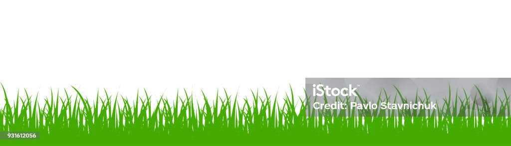 Green grass on white background - vector Grass stock vector