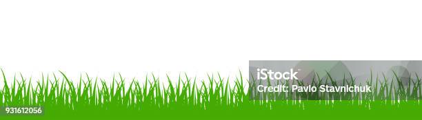 Green Grass On White Background Vector Stock Illustration - Download Image Now - Grass, Vector, Sky