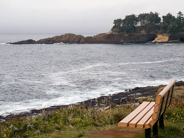 istock Bench looking into Pacific Ocean at Depoe Bay Oregon 93161328