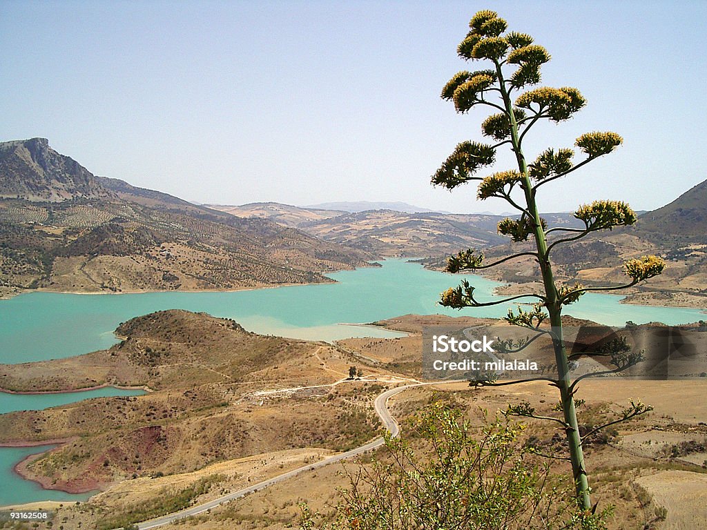 Lago e prickle - Foto stock royalty-free di Acqua