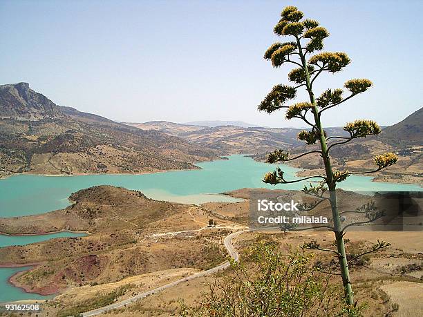 Lago E Prickle - Fotografias de stock e mais imagens de Admirar a Vista - Admirar a Vista, Agosto, Andaluzia