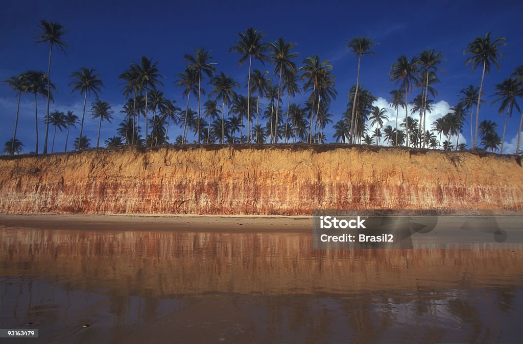 Beach in Brazil  Arranging Stock Photo