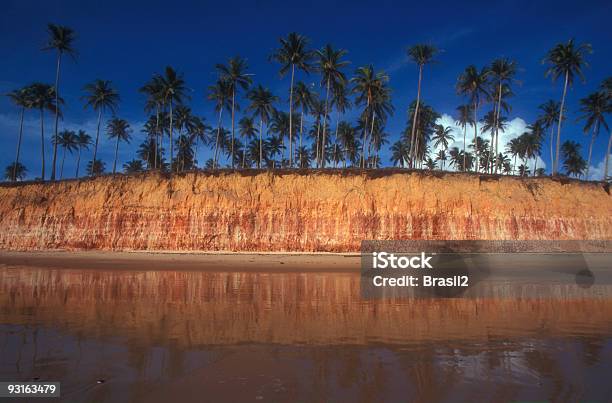 Beach In Brazil Stock Photo - Download Image Now - Arranging, Bahia State, Beach