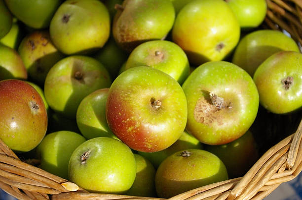 Cesta de natural, manzanas frescas - foto de stock