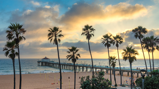 Palm trees in Manhattan Beach and pier at sunset, Los Angeles, California.