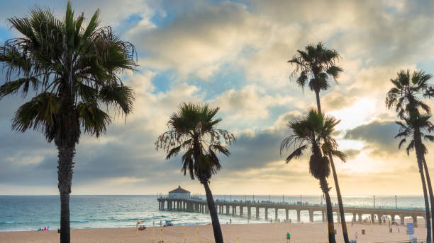 sonnenuntergang am manhattan beach und pier - venice california santa monica pier sunset beach stock-fotos und bilder