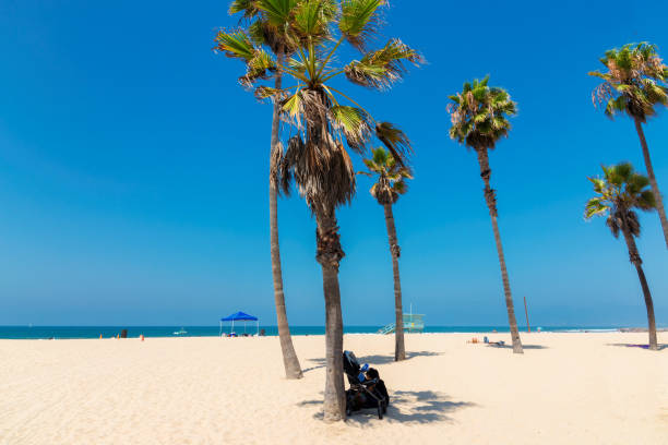 kalifornijska plaża w słoneczny dzień - santa monica beach santa monica pier malibu california zdjęcia i obrazy z banku zdjęć