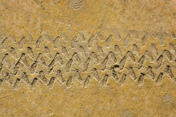 istock Tire tracks tire marks on Concrete  as abstract texture 931643678