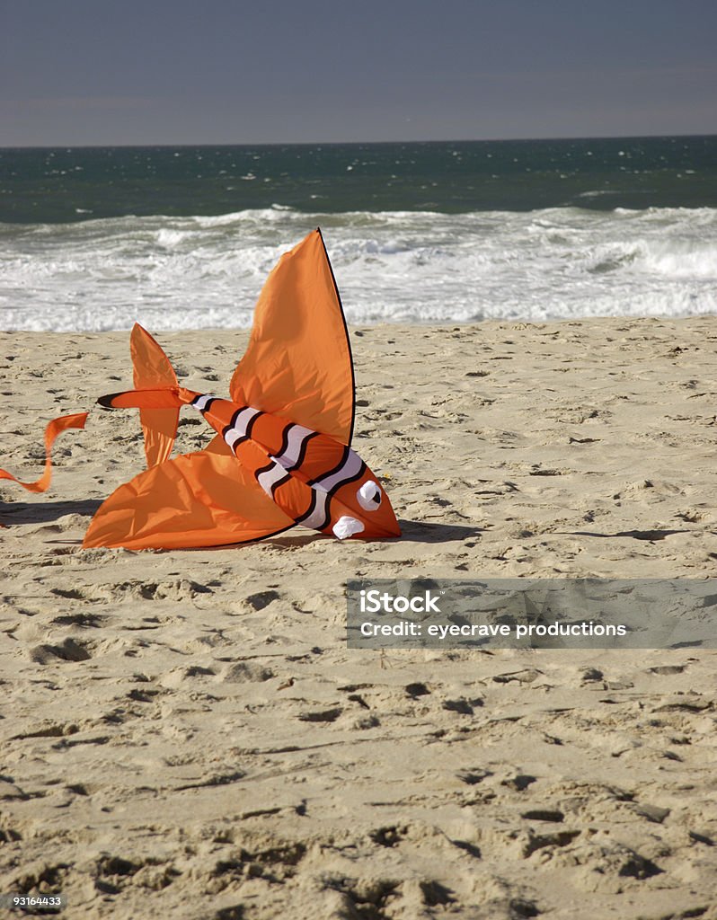 Animal échoué Cerf-volant - Photo de Californie libre de droits