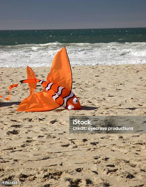 Encalhado Kite - Fotografias de stock e mais imagens de Califórnia - Califórnia, Dentro, Destino de Viagem