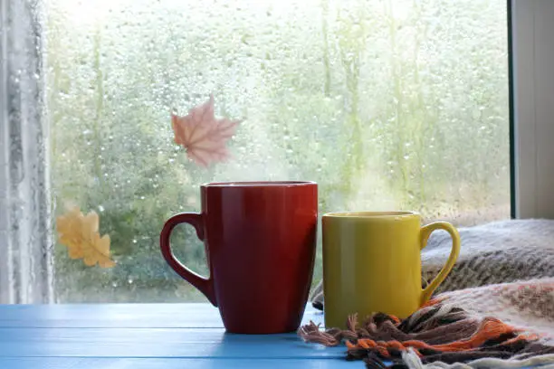 two cups and a blanket against the window with rain drops and leaves