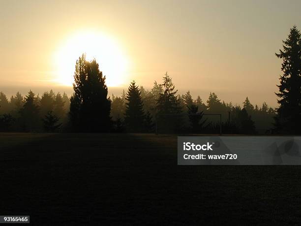 Photo libre de droit de Soleil Du Matin banque d'images et plus d'images libres de droit de Arbre - Arbre, Brouillard, Champ