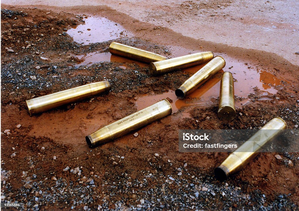 Remnants of War 2  Animal Shell Stock Photo