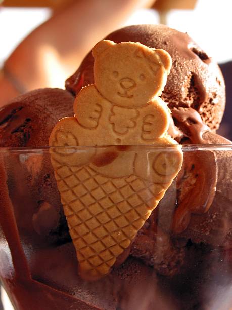 Ice cream with bear cookie stock photo
