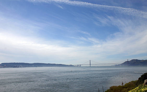 Golden Gate With Flowers stock photo