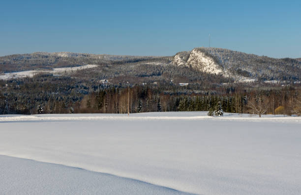 istock Snowy field with with forest and mountain and a blue sky in background 931662254