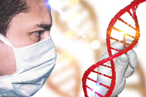 Gene Manipulation concept with lab technician laboratory doctor with gloved hand manipulating genome scientist and DNA geneticist
