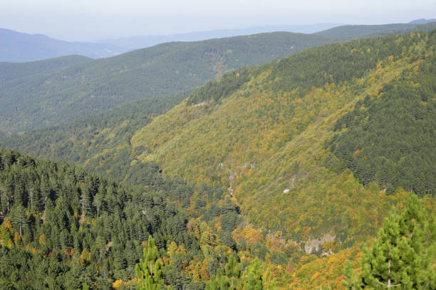 istock Colorful Mountain Ida in autumn, Turkey 931666988