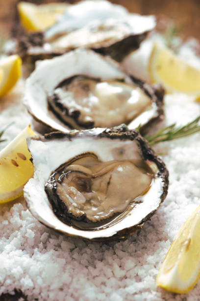 istock fresh just opened oysters and slice of lemon on rustic wooden background 931667582
