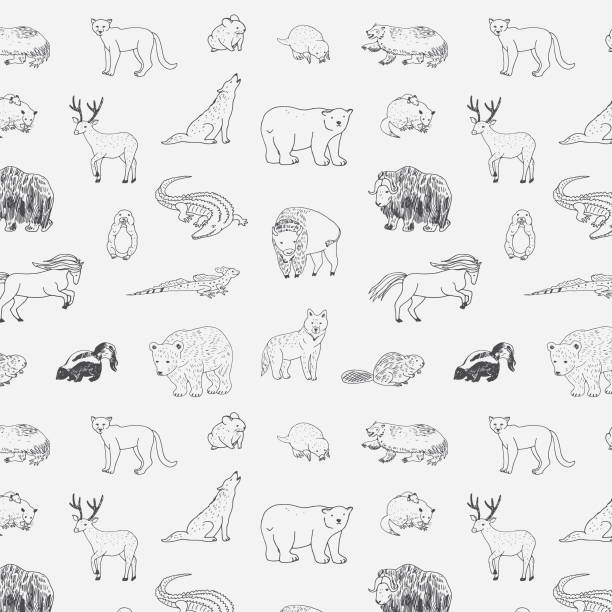 illustrazioni stock, clip art, cartoni animati e icone di tendenza di animali del nord america doodle vector line pattern - pike