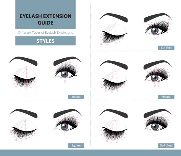 Different types of eyelash extensions. Styles for the most flattering look. Infographic vector illustration. Template for Makeup and cosmetic procedures. Training poster Different types of eyelash extensions. Styles for the most flattering look. Infographic vector illustration. Template for Makeup and cosmetic procedures. Training poster eyelash stock illustrations