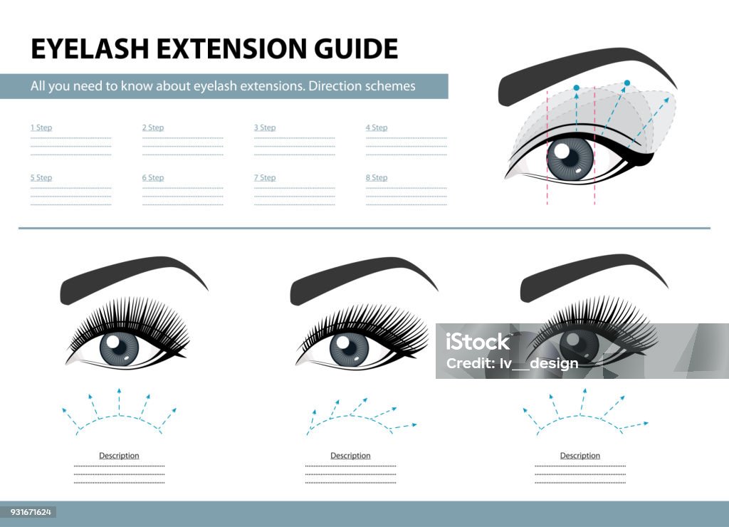 Guide d’extension de cils. Systèmes de direction. Trucs et astuces pour extension de cils. Infographie illustration de vecteur. Modèle pour maquillage et esthétiques. Affiche de la formation - clipart vectoriel de Cils libre de droits