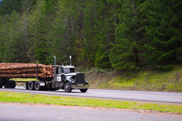 istock Black powerful big rig semi truck transporting long logs on the road with forest background 931675446