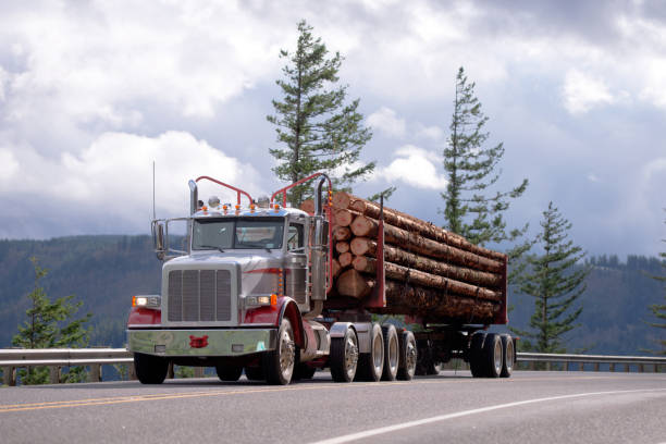 istock Big rig semi truck with day cab transporting logs on the road 931675804