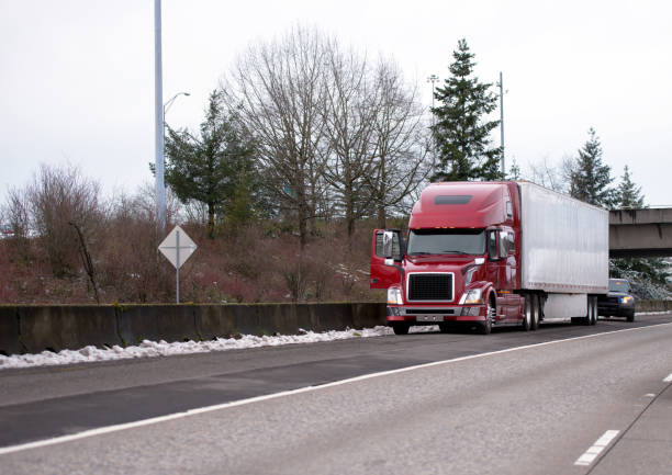 pattuglia stradale la polizia ispeziona fermato il semicarro a lungo raggio con il rimorchio reefer fermato sull'autostrada invernale - ciglio della strada foto e immagini stock