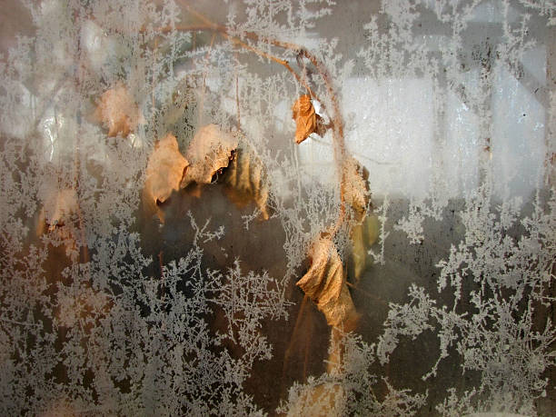 Frosty window stock photo