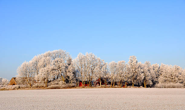 Farm and field stock photo