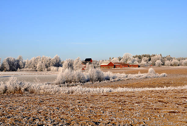 Fields and farm stock photo