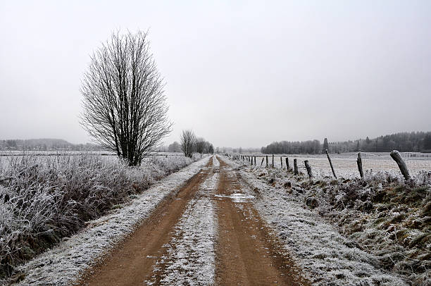 Frosty road - fotografia de stock