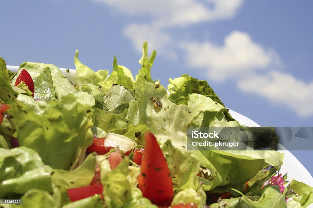 Fresca insalata e pomodoro su blue sky - Foto stock royalty-free di Accudire