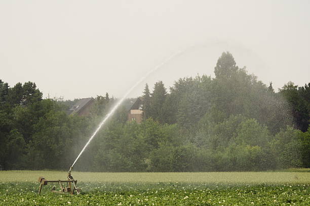 Bewässerung Pump – Foto