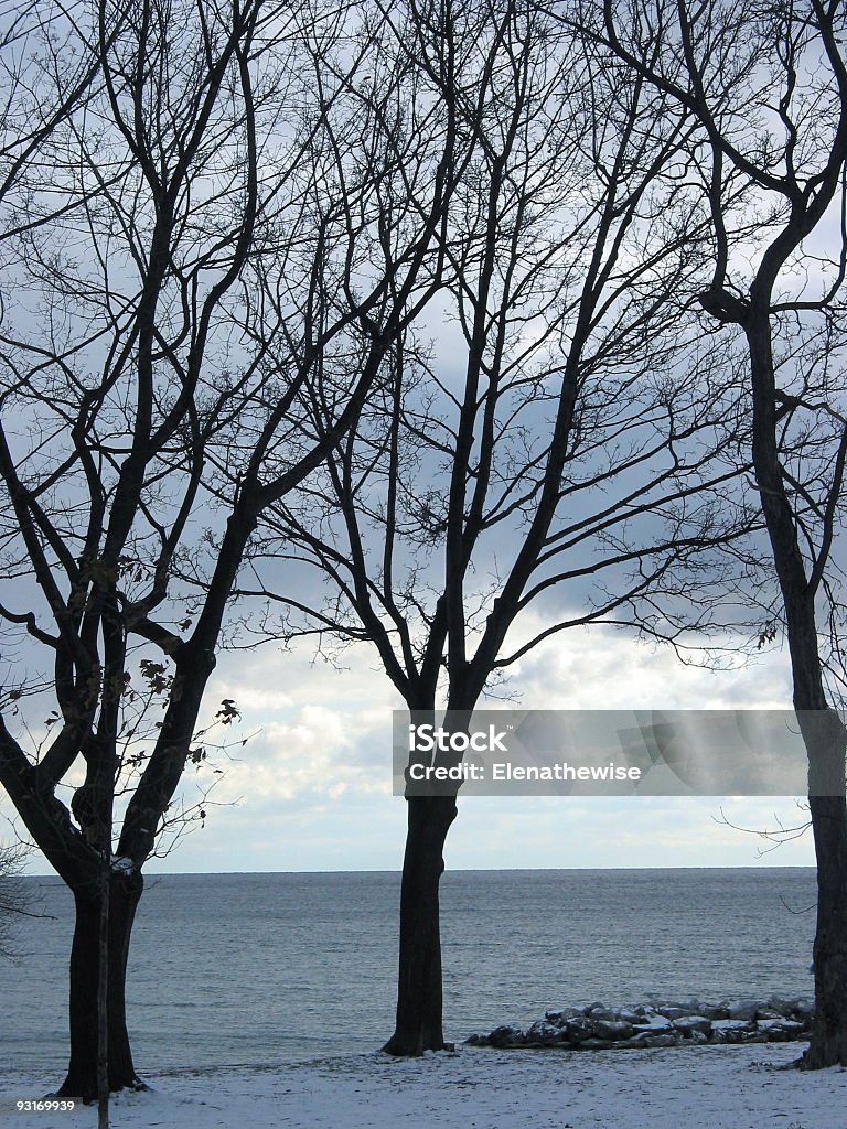 Árvores de inverno na lakeshore 1 - Foto de stock de Azul royalty-free