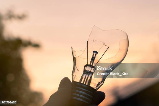 Hand Holding Broken Lightbulb On Nature Background Stock Photo - Download Image Now - Above, Authority, Backgrounds